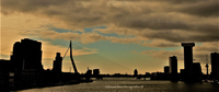 silhouet Rotterdam